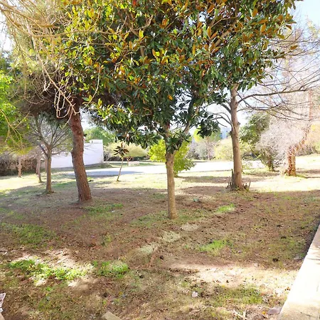 Tatil Evi Noemi's In